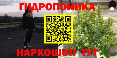 винт Славгород