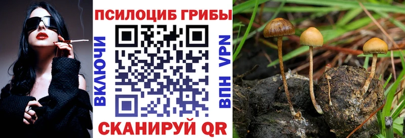 Галлюциногенные грибы MAGIC MUSHROOMS купить Пыть-Ях