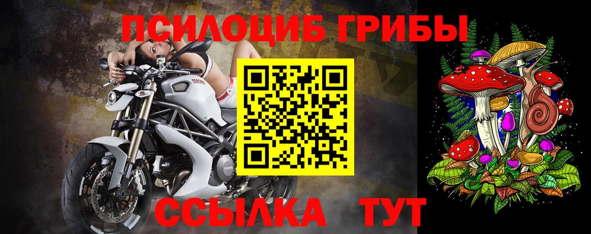 Псилоцибиновые грибы GOLDEN TEACHER Пыть-Ях