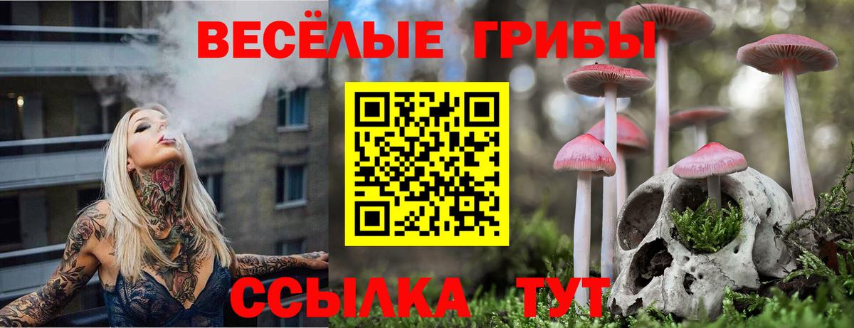Пыть-Ях  Псилоцибиновые грибы прущие грибы  Вход с VPN 